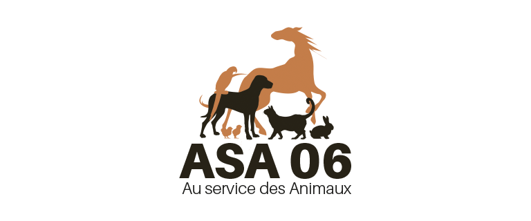 Logo ASA06